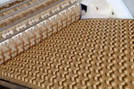 &Eacute;quipements de ligne de production pour la fabrication de friandises pour animaux